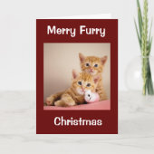 CHRISTMAS VOOR DOG/CAT-GROOMER/VETERINARIAN/MEER KAART (Voorkant)