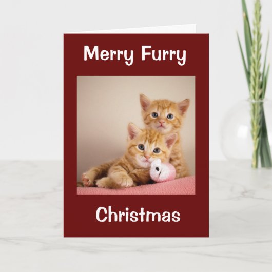 CHRISTMAS VOOR DOG/CAT-GROOMER/VETERINARIAN/MEER KAART (Voorkant)