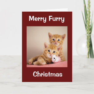 CHRISTMAS VOOR DOG/CAT-GROOMER/VETERINARIAN/MEER KAART