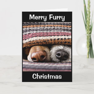 CHRISTMAS VOOR DOG/CAT-GROOMER/VETERINARIAN/MEER KAART