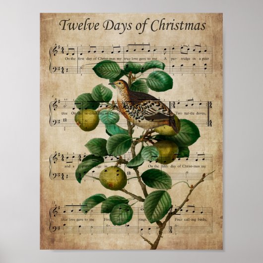 Christmas Wall Art-Partridge in a Pear Tree Poster (Voorkant)