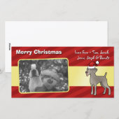 Christmas Weimaraner Feestdagenkaart (Voorkant / Achterkant)