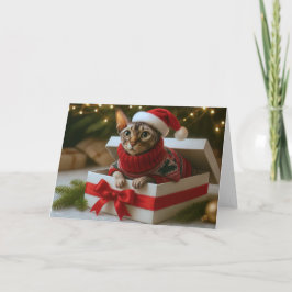Christmas Whiskers & Wrinkles Card Feestdagen Kaart