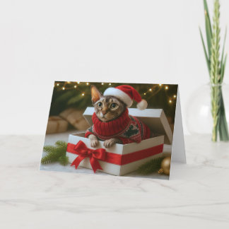Christmas Whiskers & Wrinkles Card Feestdagen Kaart