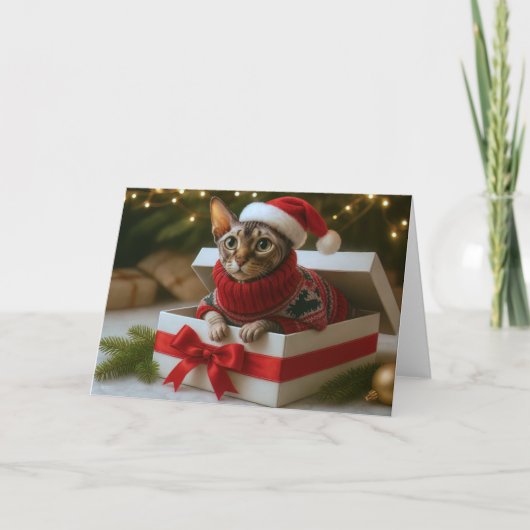 Christmas Whiskers & Wrinkles Card Feestdagen Kaart (Voorkant)