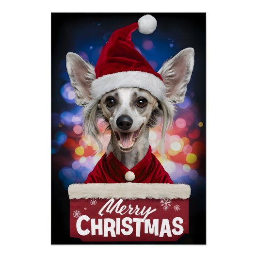 Christmas with Chinese Crested Dog Perfect Poster (Voorkant)