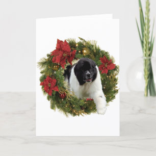 Christmas Wreath Newf Landseer Feestdagen Kaart