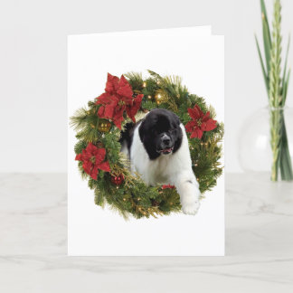 Christmas Wreath Newf Landseer Feestdagen Kaart