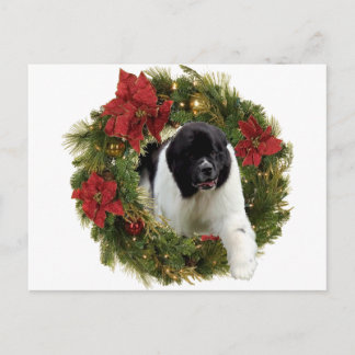 Christmas Wreath Newf Landseer Feestdagenkaart