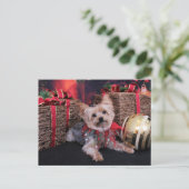 Christmas - Yorkshire Terrier - Vinnie Feestdagenkaart (Staand voorkant)