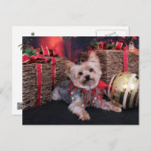 Christmas - Yorkshire Terrier - Vinnie Feestdagenkaart (Voorkant / Achterkant)