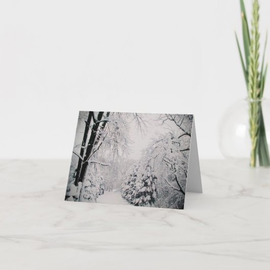 CHRISTMASCARDS, WINTERSCENE, HOLIDAIRE KAARTEN (Voorkant)