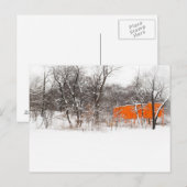 Christo "The Gates" Briefkaart (Voorkant / Achterkant)