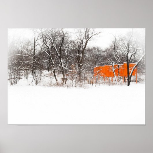 Christo "The Gates" in Central Park Poster (Voorkant)