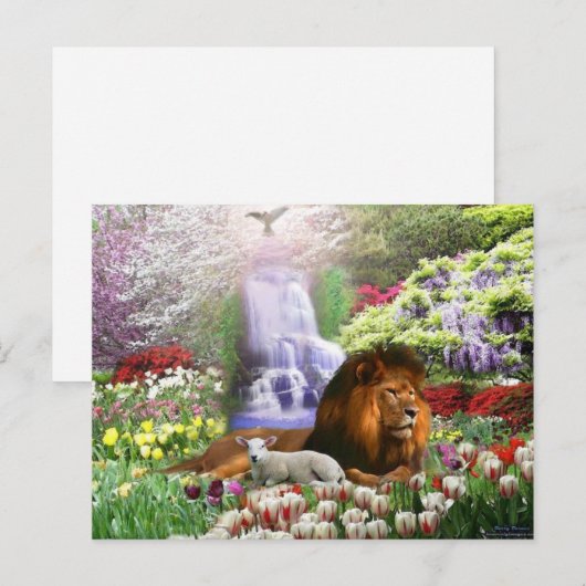 Christus het Lam Gods Briefkaart (Voorkant / Achterkant)