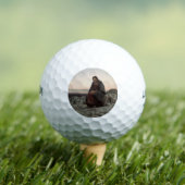 Christus in de wilde natuur (door Ivan Kramskoi) Golfballen (Insitu Shirt)