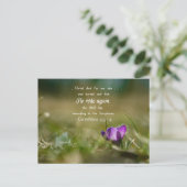 Christus Roos weer Crocus Briefkaart (Staand voorkant)