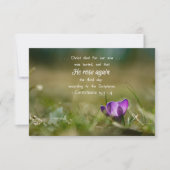 Christus Roos weer een Crocus-kaart Bedankkaart (Voorkant)