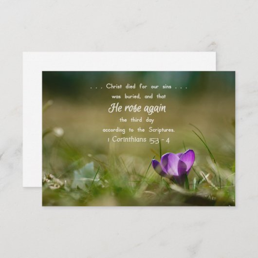 Christus Roos weer een Crocus-kaart Bedankkaart (Voorkant / Achterkant)