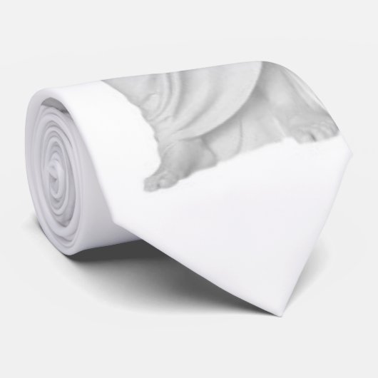 Christus Stropdas (Opgerold)