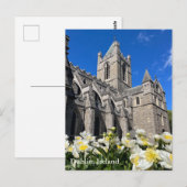 Christuskerk in Dublin, Ierland Briefkaart (Voorkant / Achterkant)