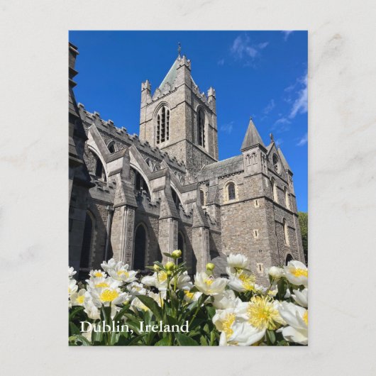 Christuskerk in Dublin, Ierland Briefkaart (Voorkant)