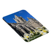 Christuskerk in Dublin, Ierland Magneet (Rechterzijde)