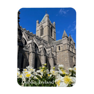 Christuskerk in Dublin, Ierland Magneet