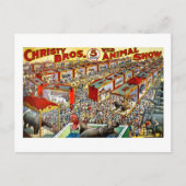 Christy's Wilde Dierlijk Show - Briefkaart (Voorkant)