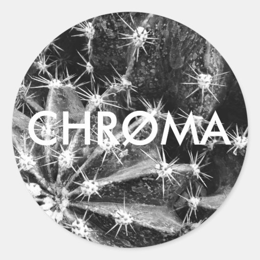 CHRØMA CACTUS-STICKER RONDE STICKER (Voorkant)