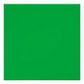 Chroma key kleur Groen Perfect Poster (Voorkant)