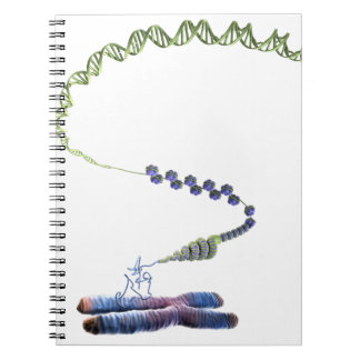 Chromatin Notitieboek