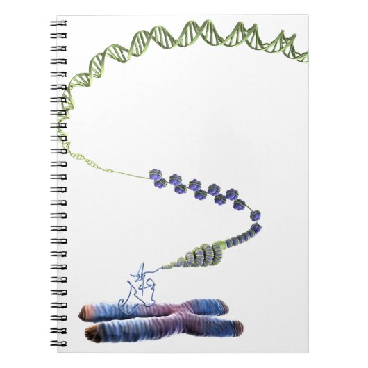 Chromatin Notitieboek (Voorkant)