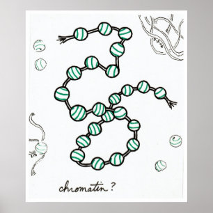 chromatische afdruk poster
