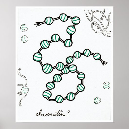 chromatische afdruk poster (Voorkant)