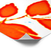 Chromatische bladherhaling poster (Hoek)