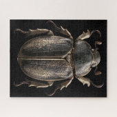 Chromatische Kevers Legpuzzel (Horizontaal)