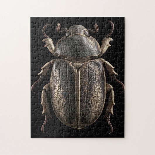 Chromatische Kevers Legpuzzel (Verticaal)