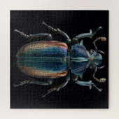 Chromatische Kevers Legpuzzel (Horizontaal)