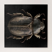 Chromatische Kevers Legpuzzel (Horizontaal)