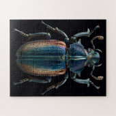 Chromatische Kevers Legpuzzel (Horizontaal)