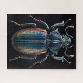 Chromatische Kevers Legpuzzel (Horizontaal)