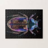 Chromatische Kevers Legpuzzel (Horizontaal)