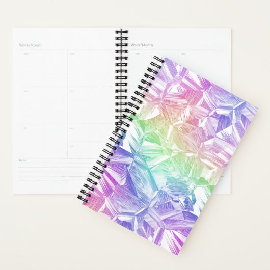 chromatische realiteit : planner (Display)