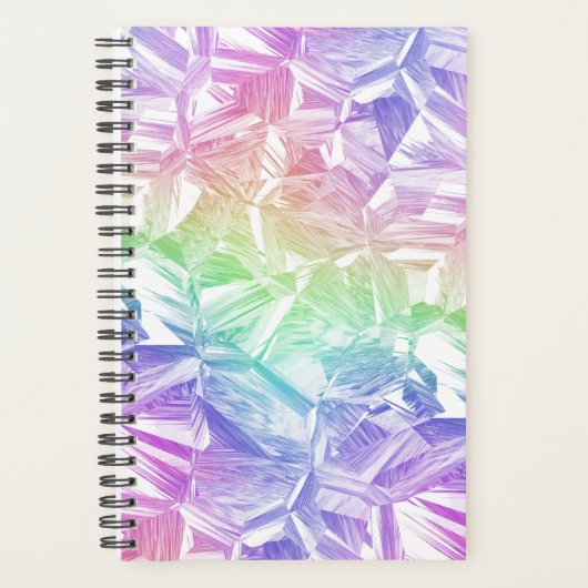 chromatische realiteit : planner (Voorkant)