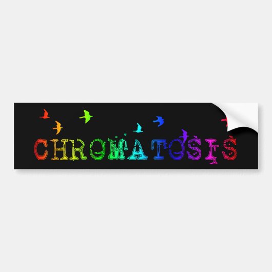 chromatose: regenboogvogels: bumpersticker (Voorkant)
