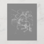 Chrome als Sagittarius Zodiac Sign Hevelius Decor Flyer (Achterkant)