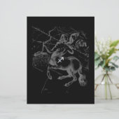 Chrome Sagittarius Zodiac Sign Hevelius circa 1690 (Staand voorkant)