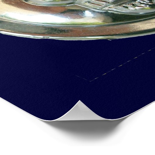 CHROME SKULL POSTER (Hoek)