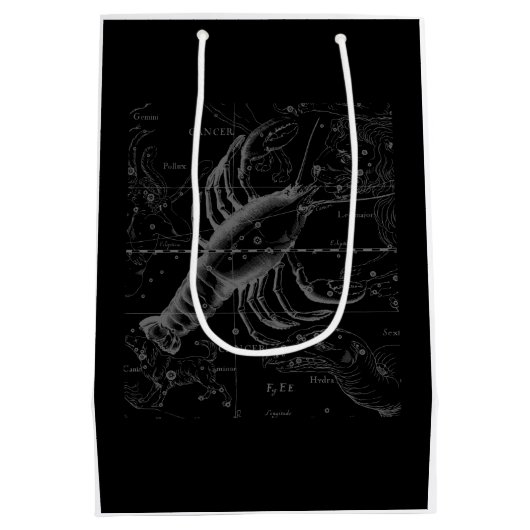 Chrome Style Cancer Zodiac Sign on Hevelius 1690 Medium Cadeauzakje (Achterkant)